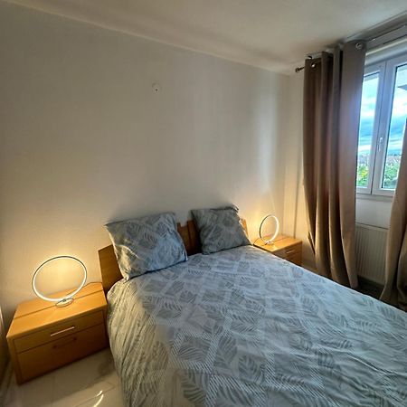 Tres Beau Trois Pieces Avec Vue Degagee Apartment สตราสบูร์ก ภายนอก รูปภาพ