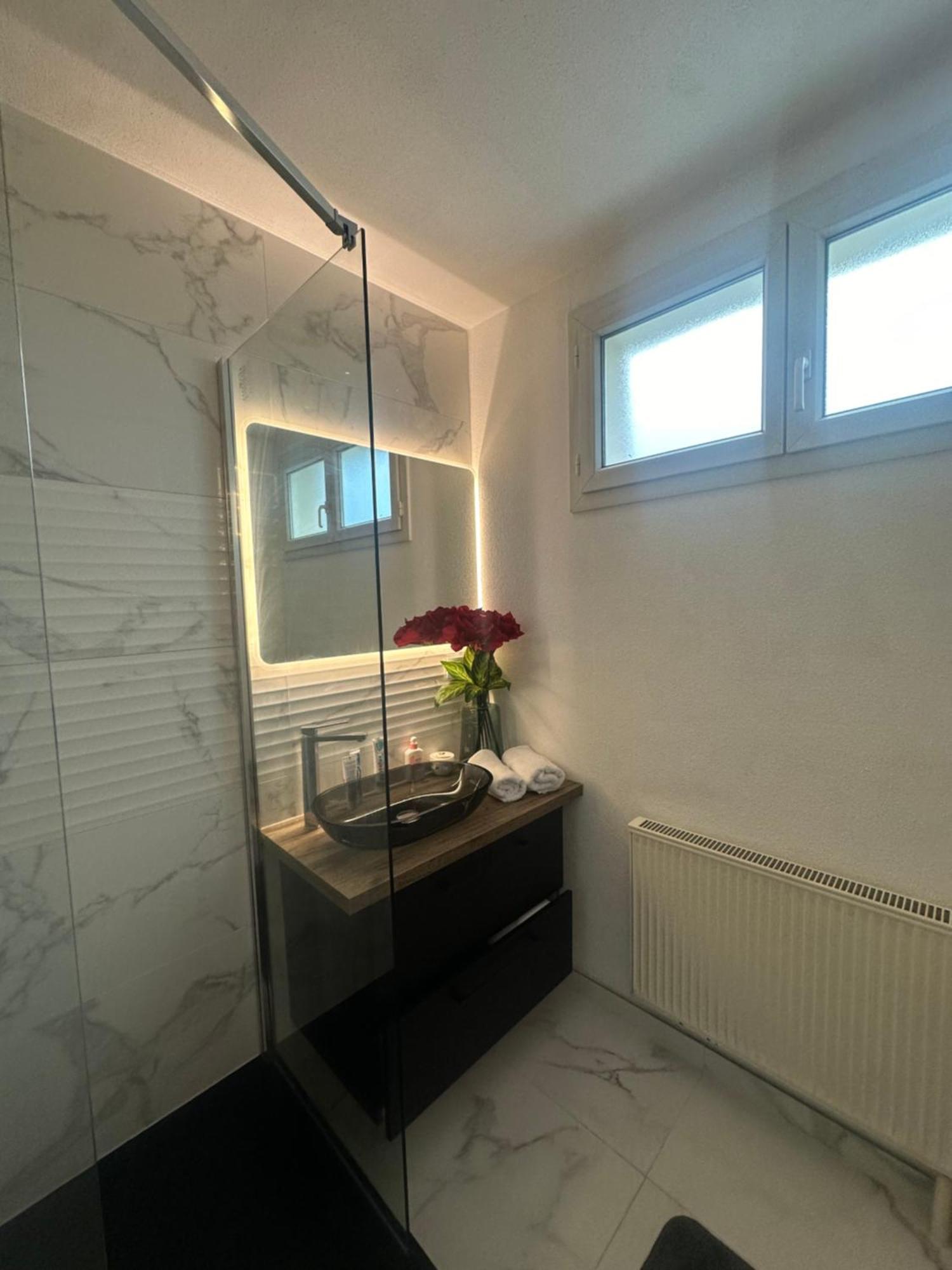 Tres Beau Trois Pieces Avec Vue Degagee Apartment สตราสบูร์ก ภายนอก รูปภาพ